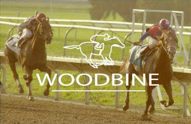 Woodbine Feature