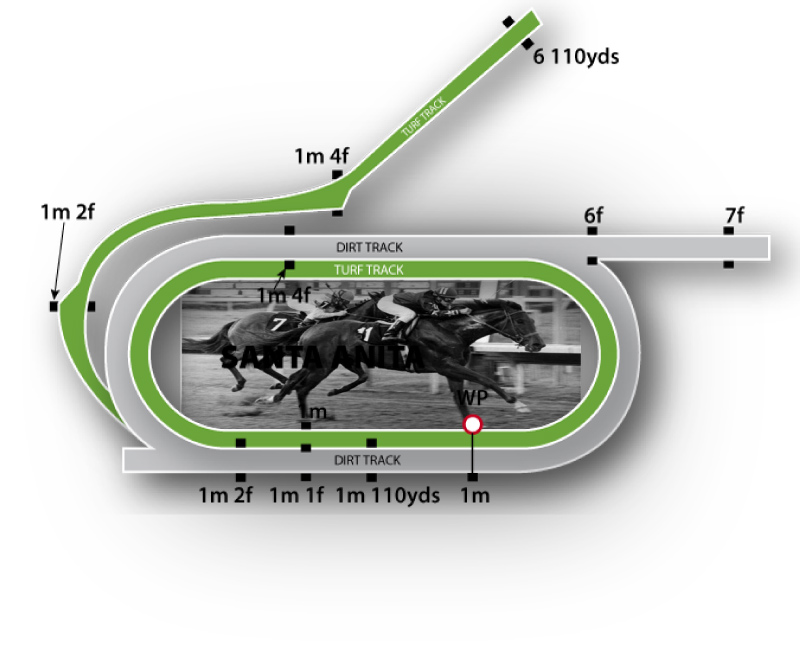 Santa Anita Track Configuration Illustration