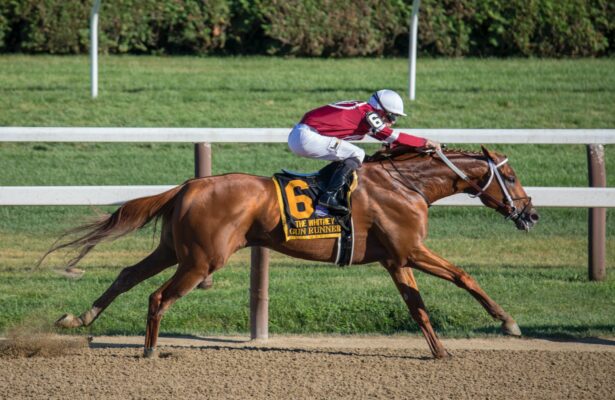 Gunrunner: Sire of Louisiana Derby 2024 Contender Hall of Fame