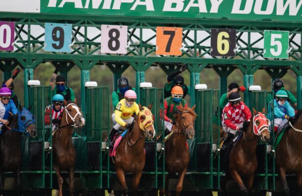 Tampa Bay Photo by Taylor Sondgeroth