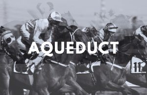 Aqueduct Racing Blog Post Header