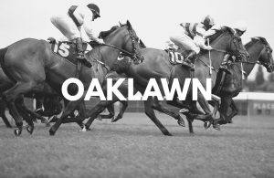 Oaklawn Park Horse Racing