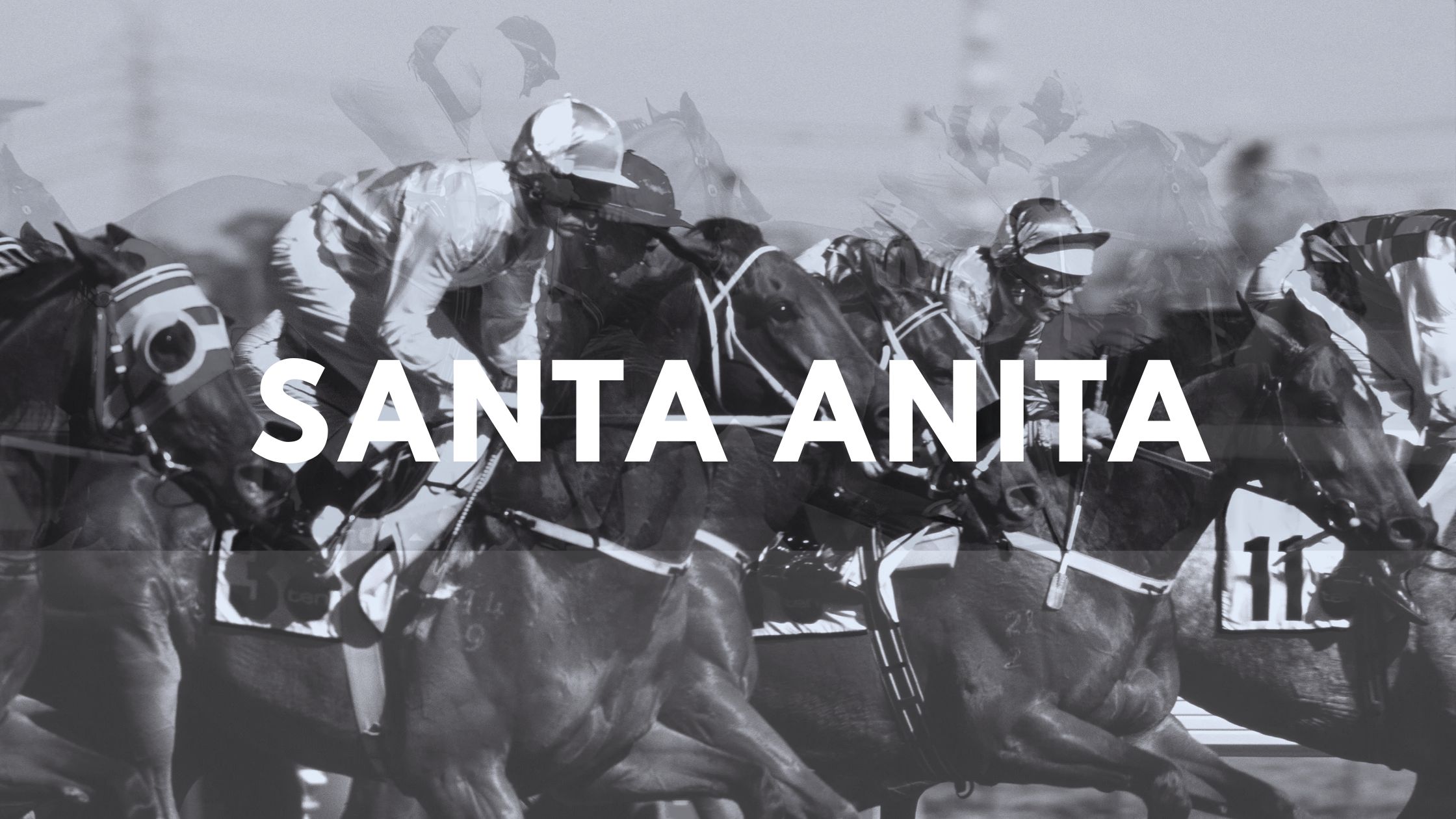 Santa Anita Blog Post Header Image